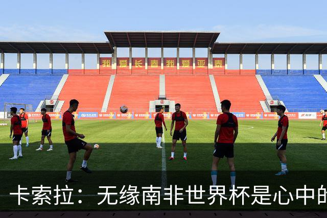 卡索拉：无缘南非世界杯是心中的刺
